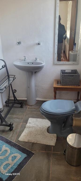 un baño con inodoro y lavabo en Mrakes Guesthouse, en Odendaalsrus