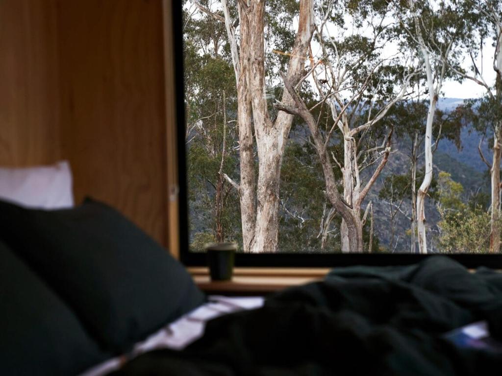 Picture of Untitled Image