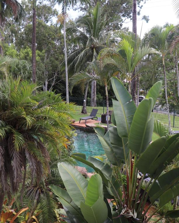 Bazén v ubytování Colonial Palms Motor Inn nebo v jeho okolí
