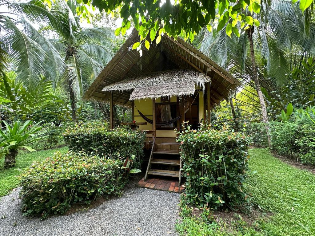 Zahrada ubytování Alby Lodge Cahuita