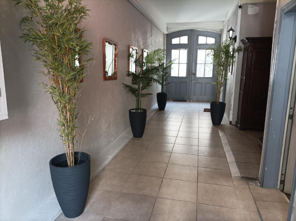 a hallway with four potted plants on the wall at "Le Patio"-Meublé de Tourisme 3 étoiles -Résidence "Les Logis de Béziers"-Garage optionnel-Cœur de ville-Plages à 16km ! in Béziers
