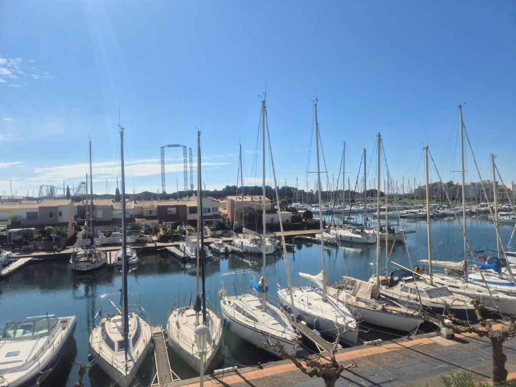 un groupe de bateaux amarrés dans un port dans l'établissement Studio cabine 4 personnes avec parking - Cap d'Agde - FR-1-249-424, au Cap d'Agde