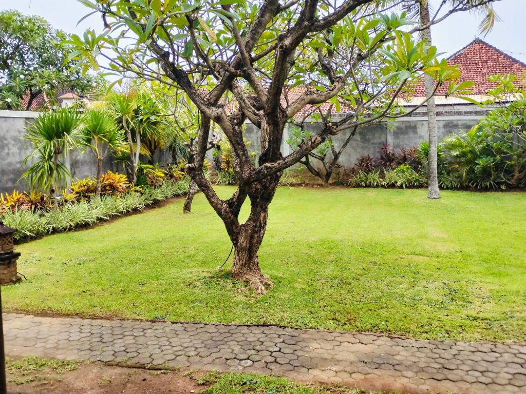 Zahrada ubytování Bayumantra Bungalows