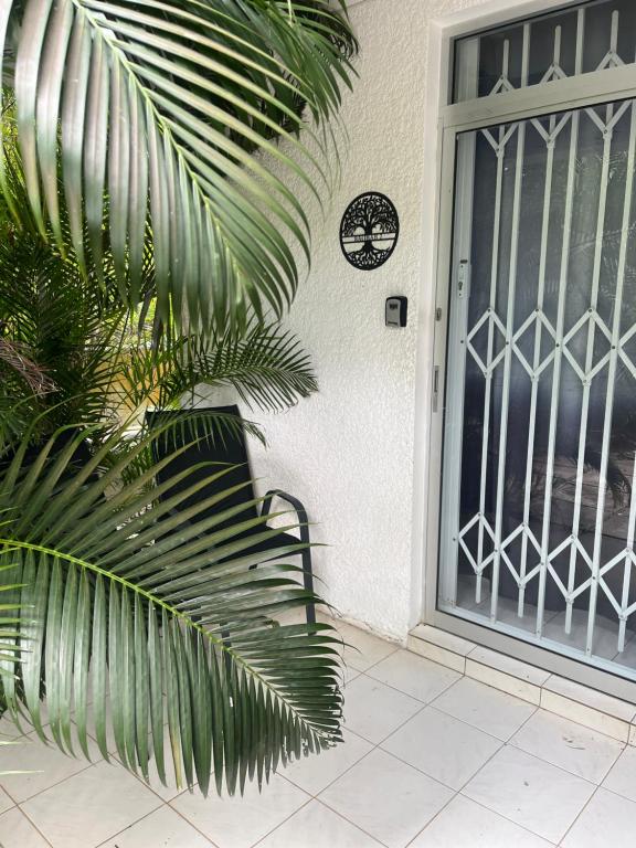 a door to a house with a palm tree next to it at Appartement Baobab 2 in Pereybere