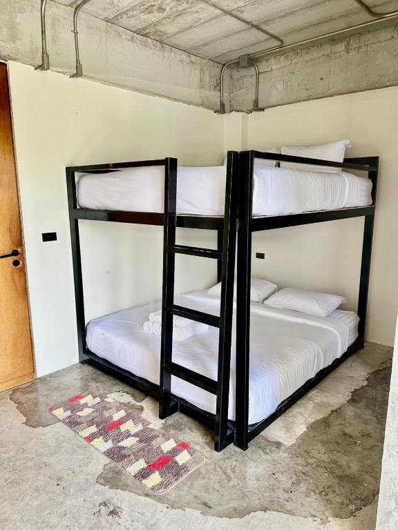 Ella Lamoon - Resim 15