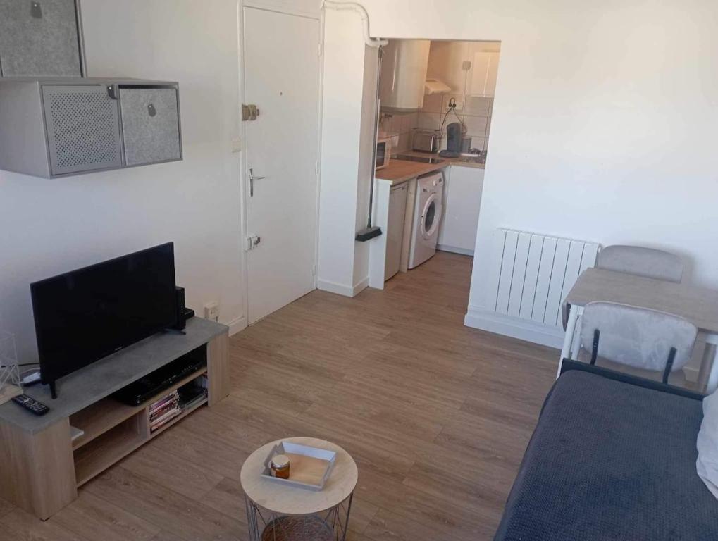 a living room with a bed and a flat screen tv at Charmant petit Studio a Dax in Dax