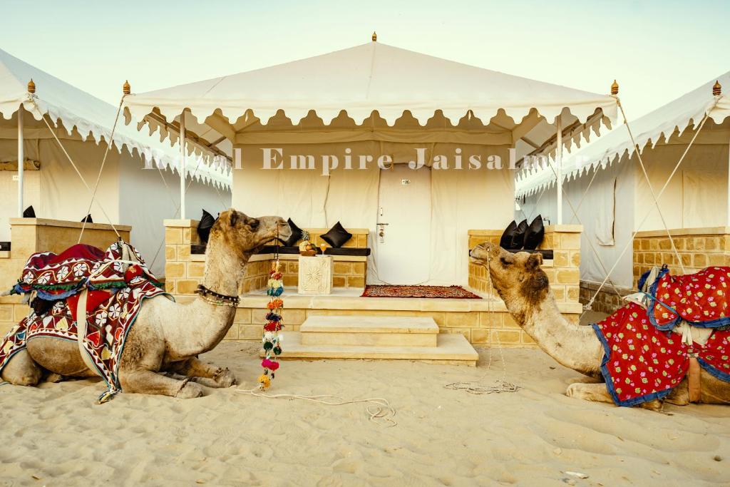 Zvířata v luxury tent nebo okolí