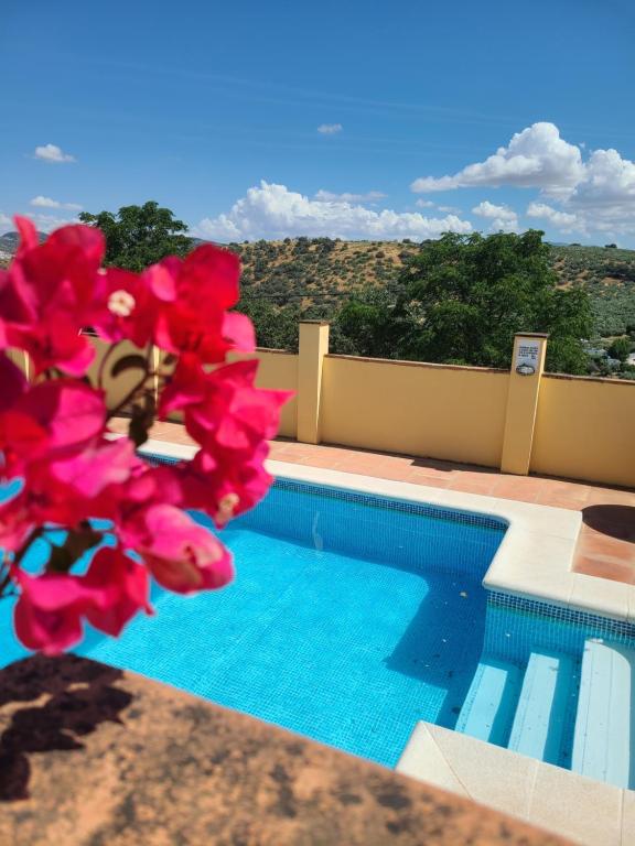 a view of a swimming pool from a villa at Cortijo Molino los Justos in Fuentes de Cesna