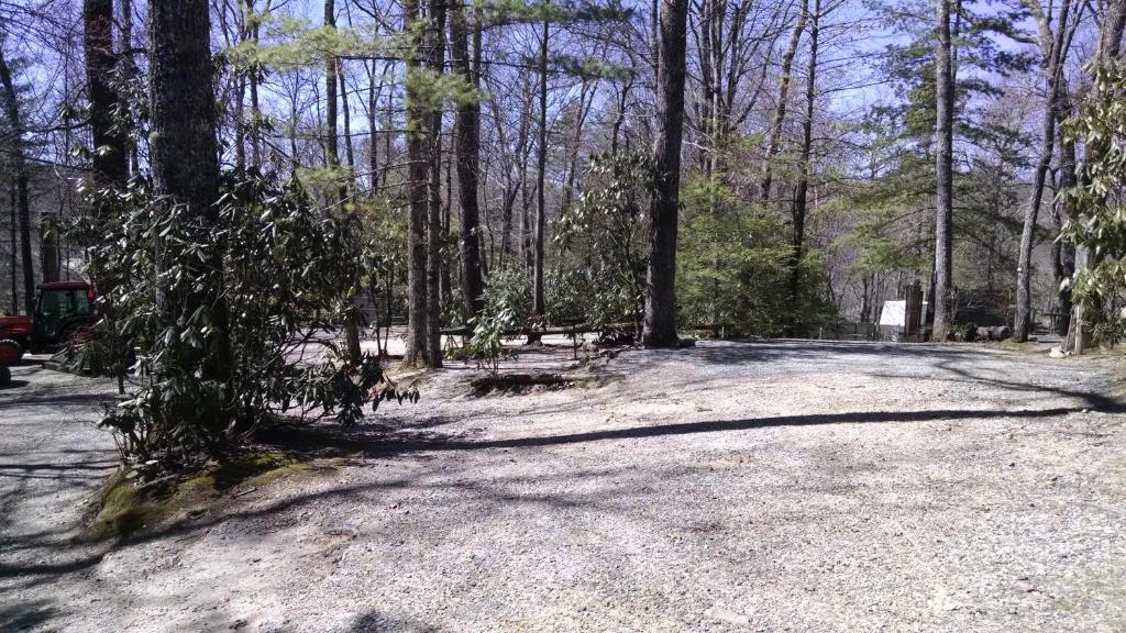 a dirt road in a forest with trees at Linville Falls Campground, RV Park, and Cabins in Linville Falls