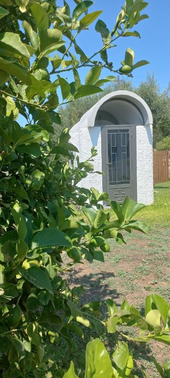 Сад в Stone built house next to the beach