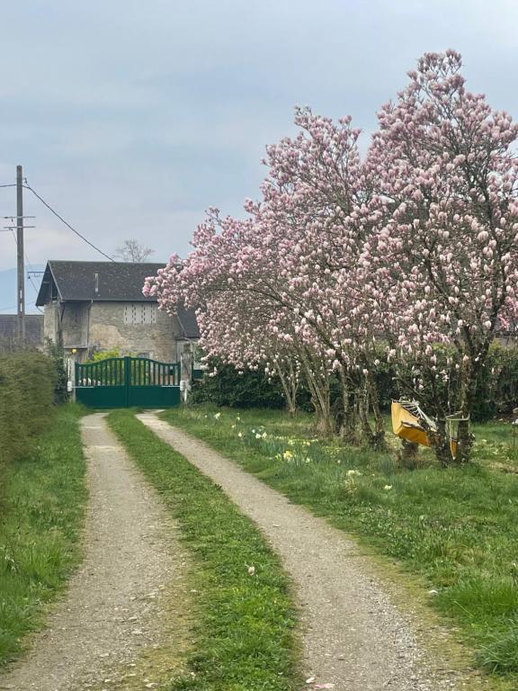 a dirt road next to a house with flowering trees at Escale in La Motte-Servolex