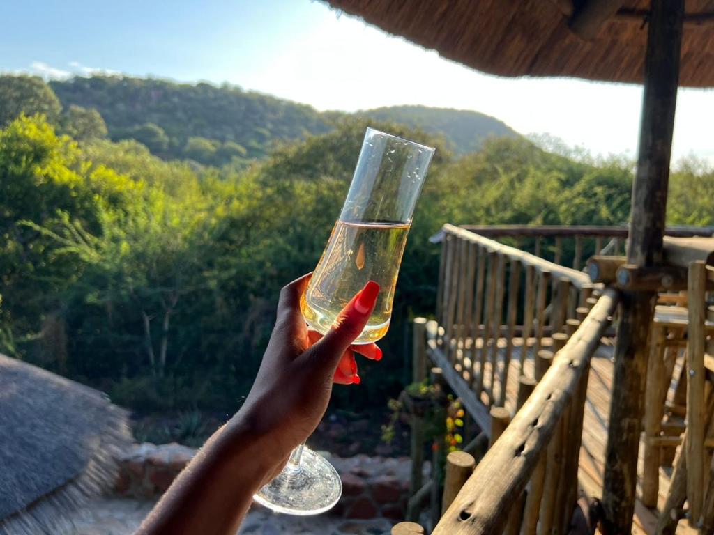 a person holding up a glass of wine at Kolobeng Cottages in Gaborone
