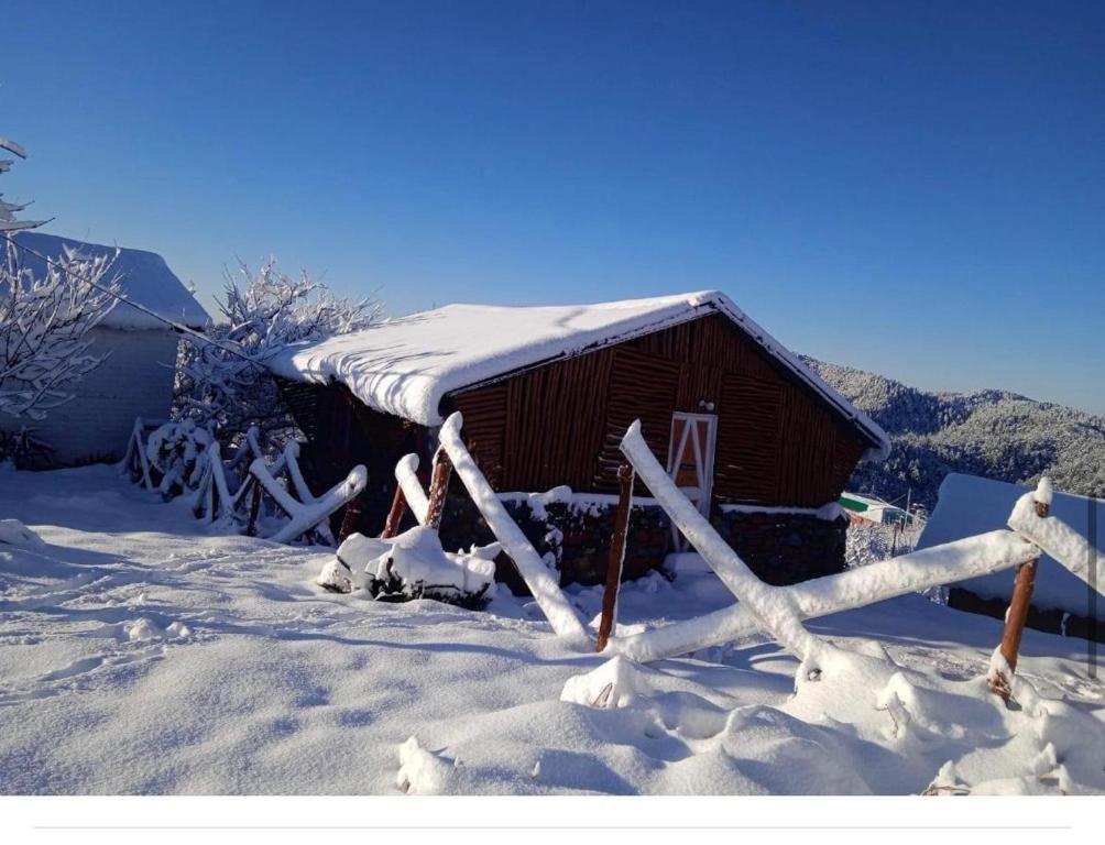 Φωτογραφία από το άλμπουμ του Tvam Retreat & Resorts σε Kufri