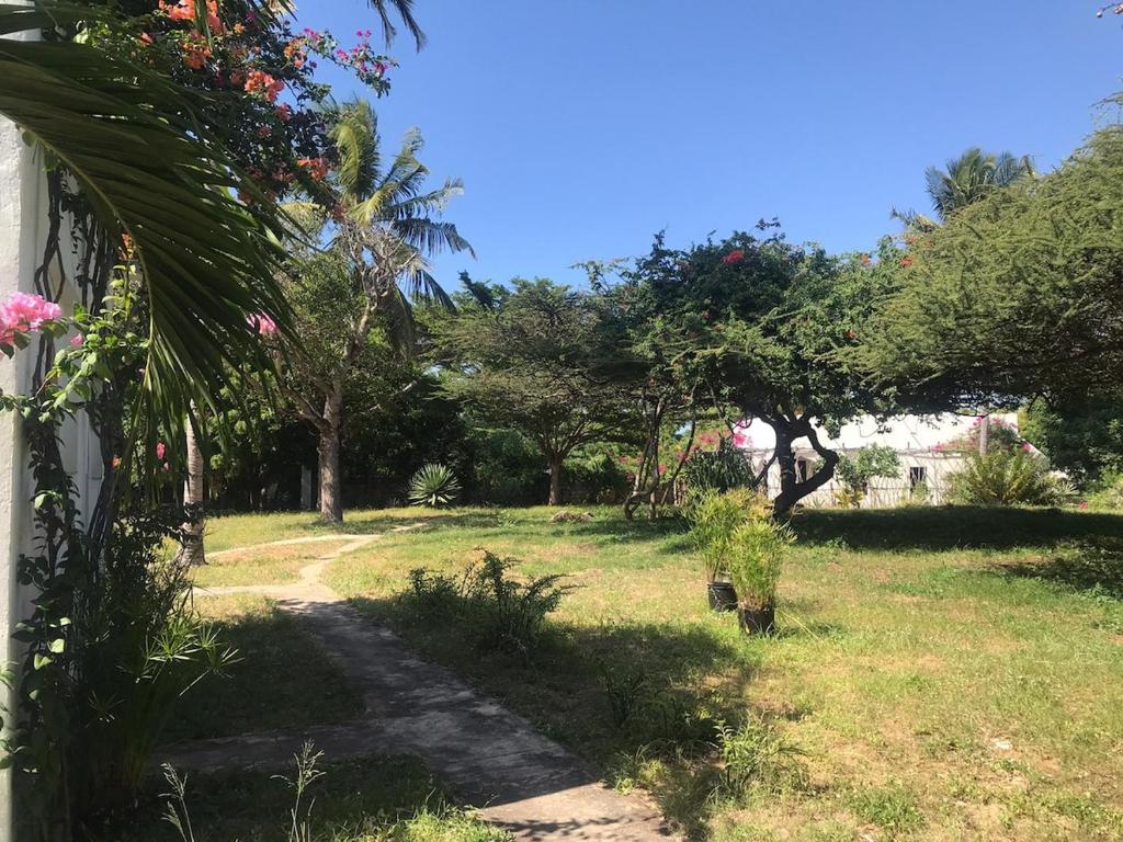 Zahrada ubytování Marquezy House - Shela, Lamu Island