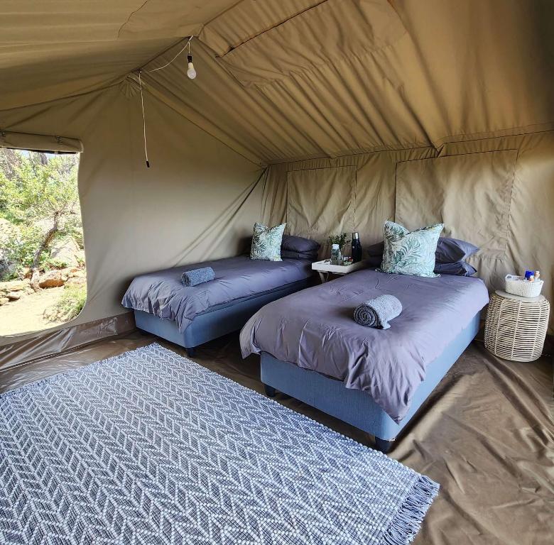 two beds in a tent with a table at Loziba Wildlife Reserve Tented Camp in Vryheid