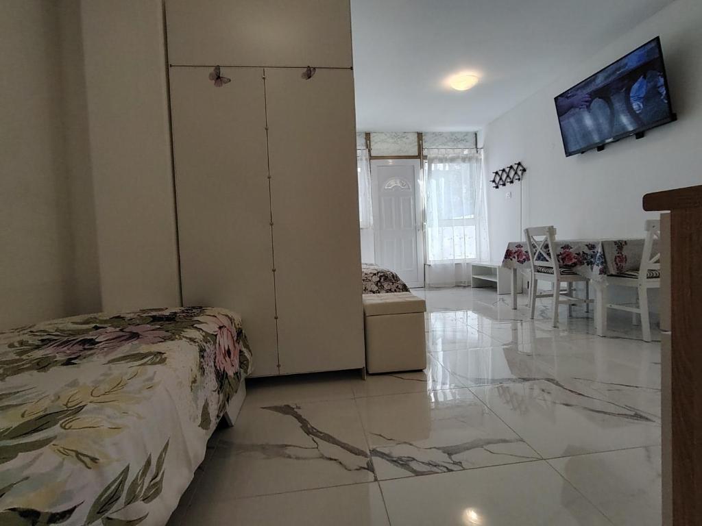Televízia a/alebo spoločenská miestnosť v ubytovaní Studio-apartman Ella