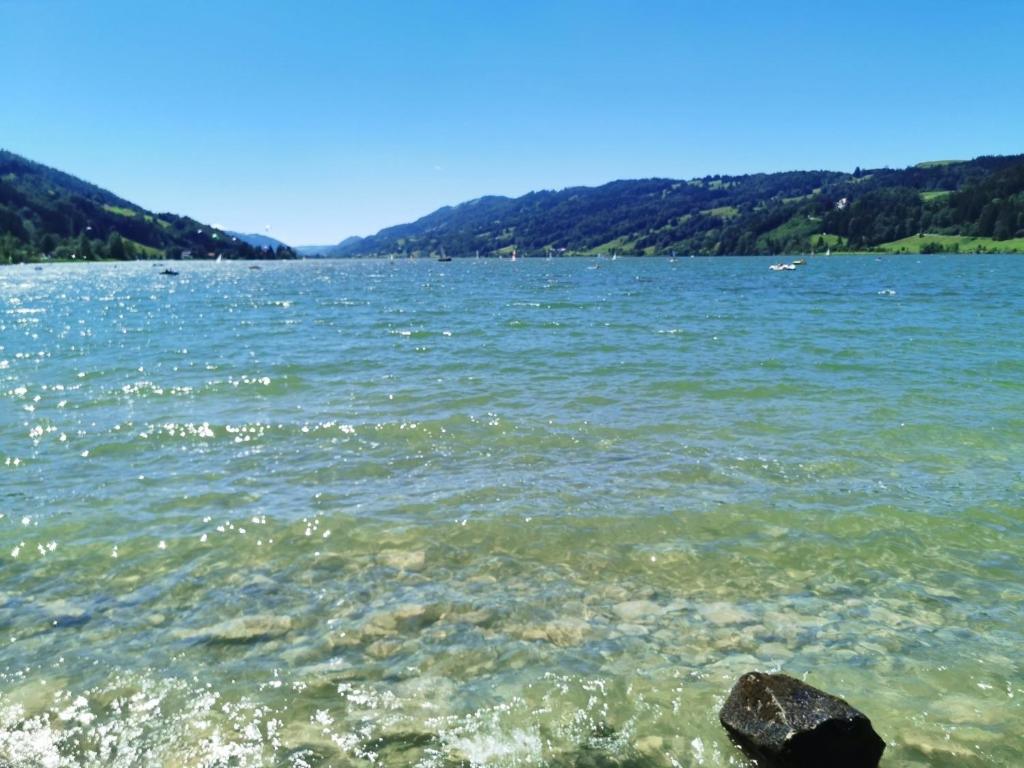 Naturlandschaft in der Nähe der Ferienwohnung