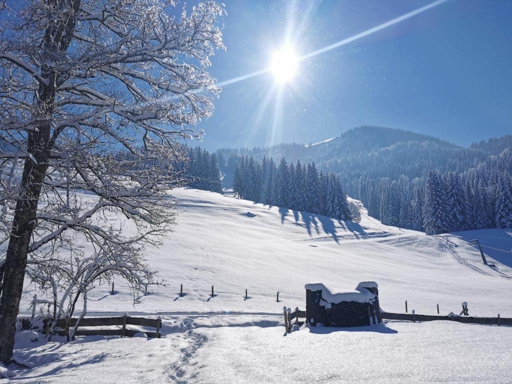 Konstanzer Bergblick mit Wintergarten im Winter
