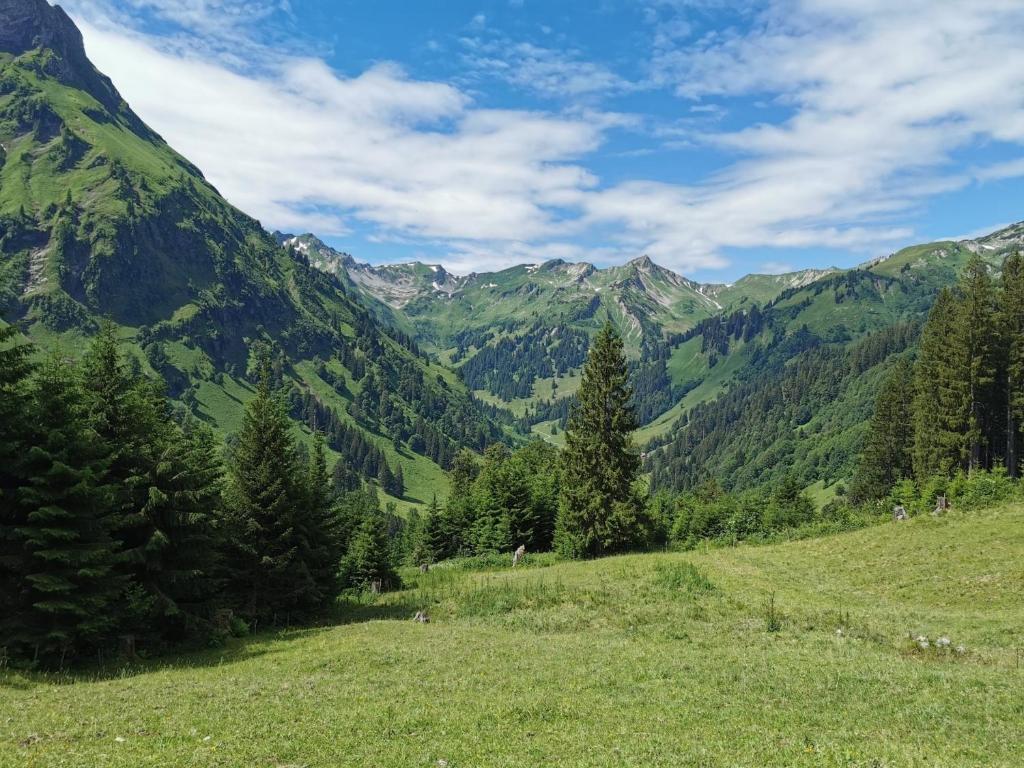 Naturlandschaft in der Nähe der Ferienwohnung
