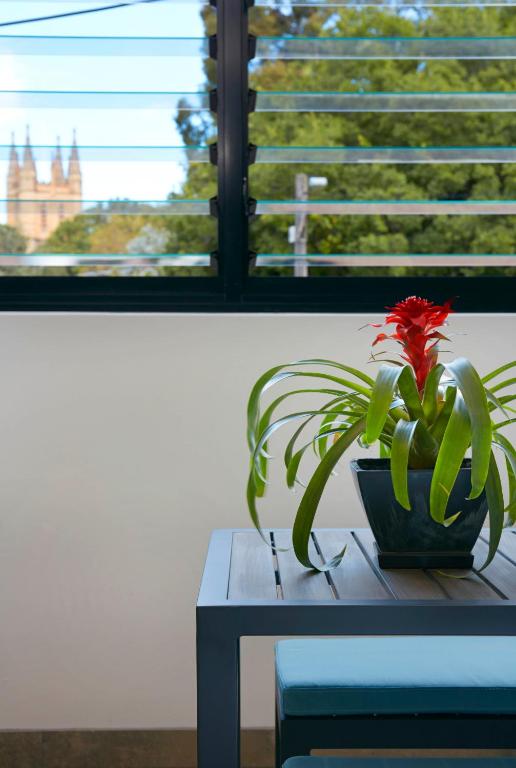 Veriu Camperdown - Resim 40