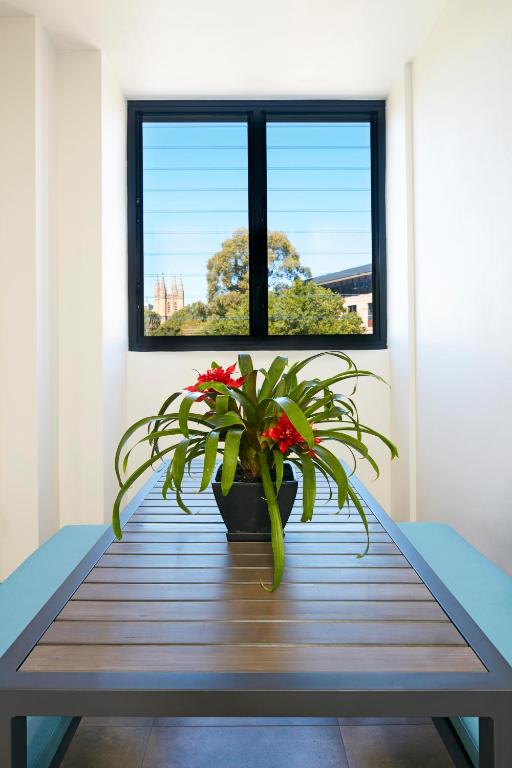 Veriu Camperdown - Resim 38