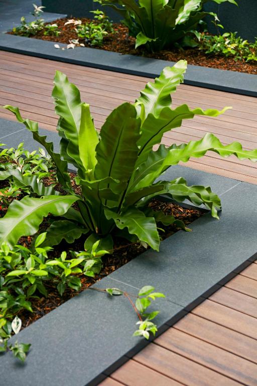 Veriu Camperdown - Resim 25