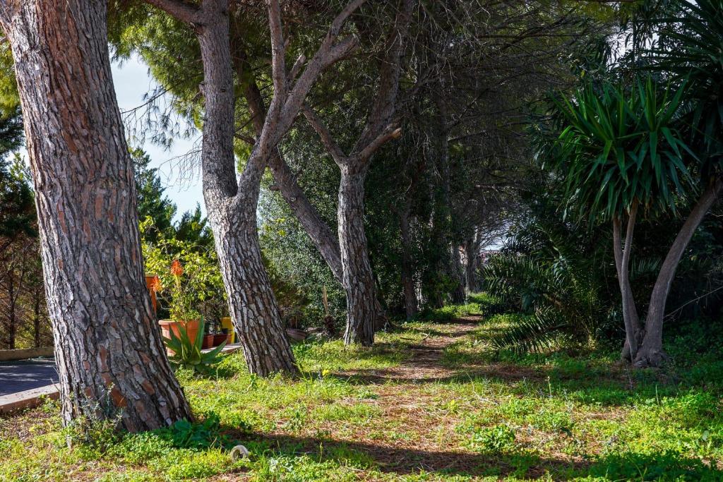 Zahrada ubytování Motel - Hotel Nautico Pozzallo