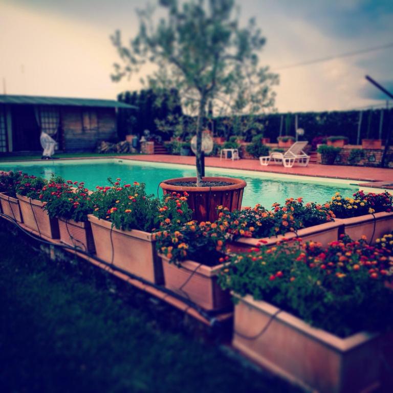 Basen w obiekcie Agriturismo "Le Rondinelle" lub w pobliżu