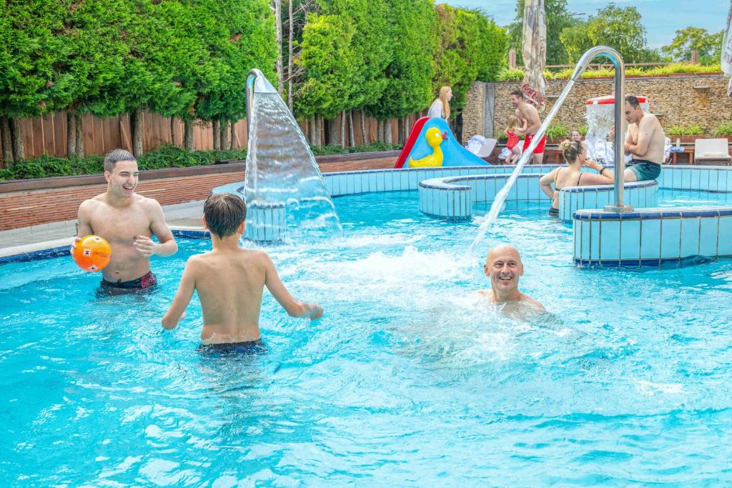 Bazén v ubytování Boutique Hotel Szárcsa nebo v jeho okolí