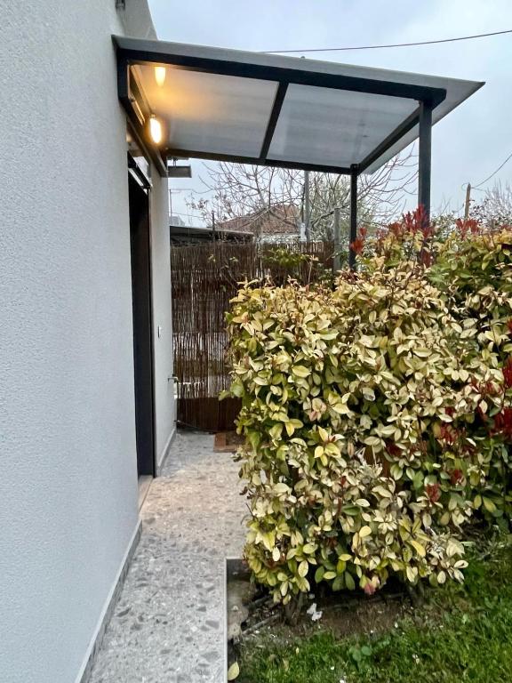 Agora LX Studios & Suites - 