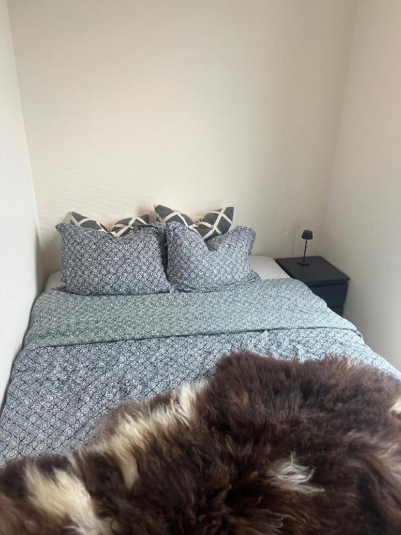 a bedroom with a bed with a dog laying on it at Lervigbrygga 178b in Stavanger
