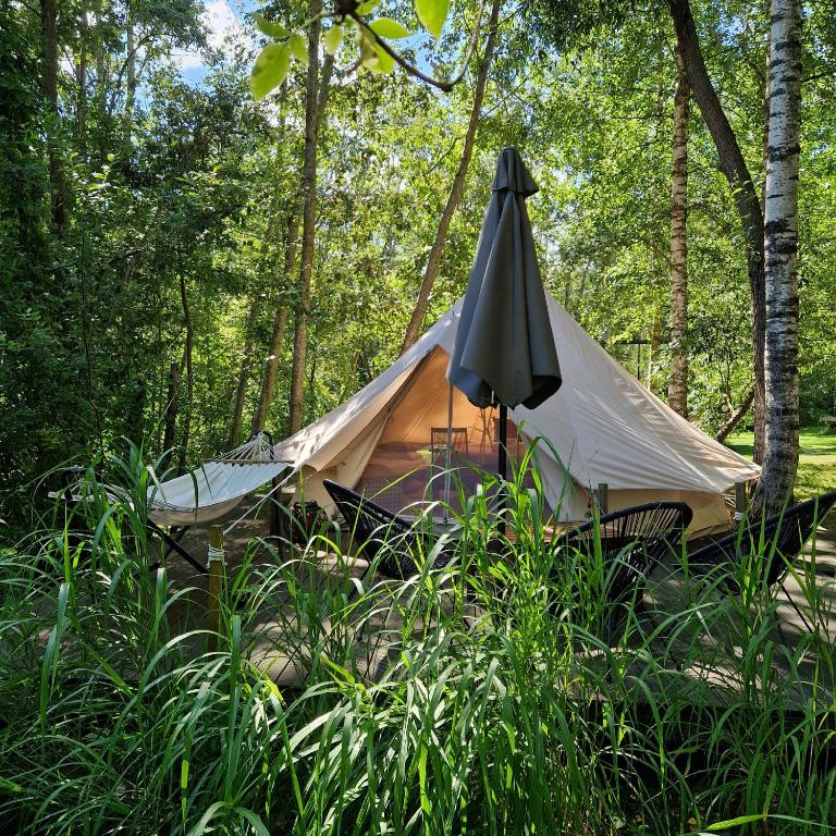 Příroda nedaleko luxury tent