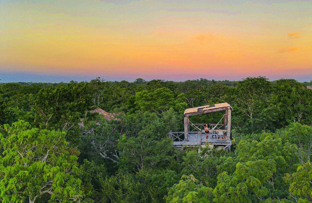 an object in the middle of the forest at sunset at Treehouse Tulum H2Ojos in Tulum