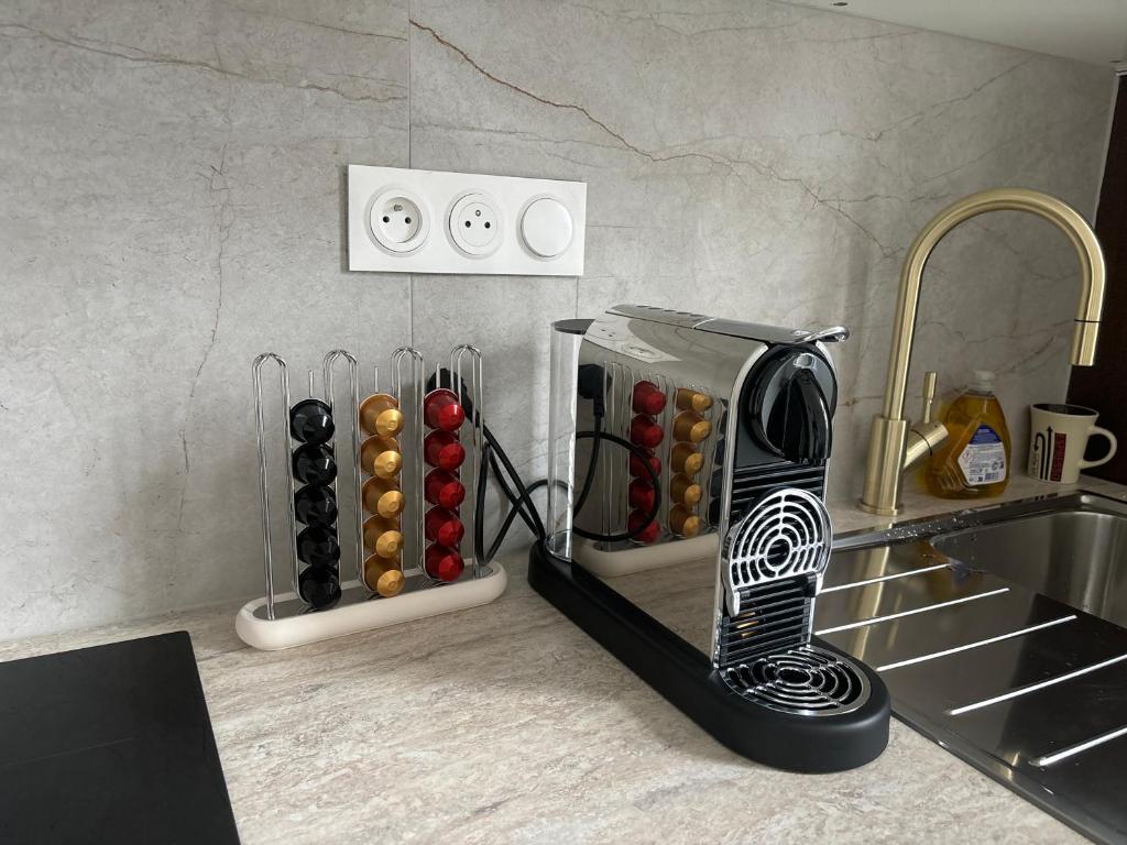 LE LYNX HAUSSMANIEN appartement tout confort, climatisé avec parking privé, à deux pas du centre – photo 18