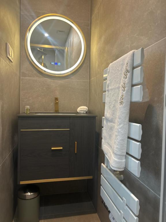LE LYNX HAUSSMANIEN appartement tout confort, climatisé avec parking privé, à deux pas du centre – photo 8