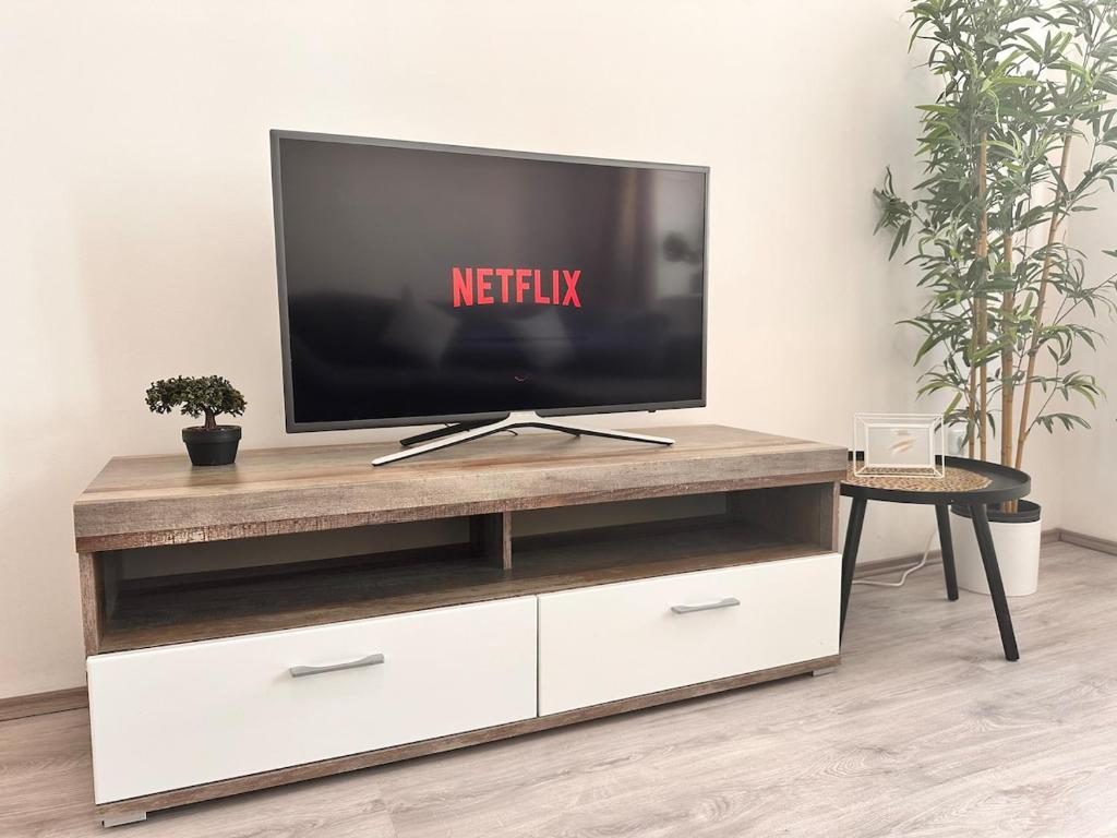 Spacious Netflix Apartment for up to 4 People with Massage Shower
