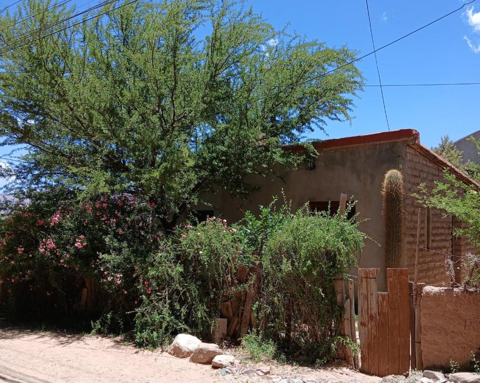 a house with a tree next to a fence at Pacha Wasi in Humahuaca