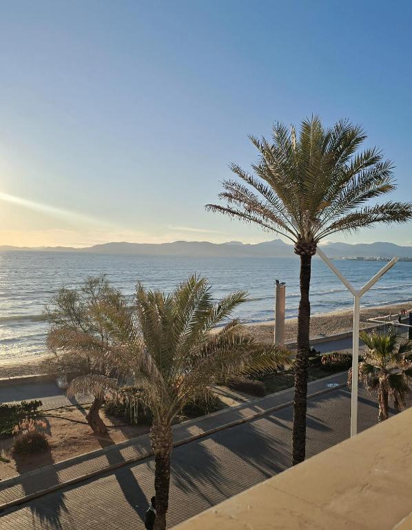 a view of a beach with palm trees and the ocean at Q-Royal Skylounge in Playa de Palma