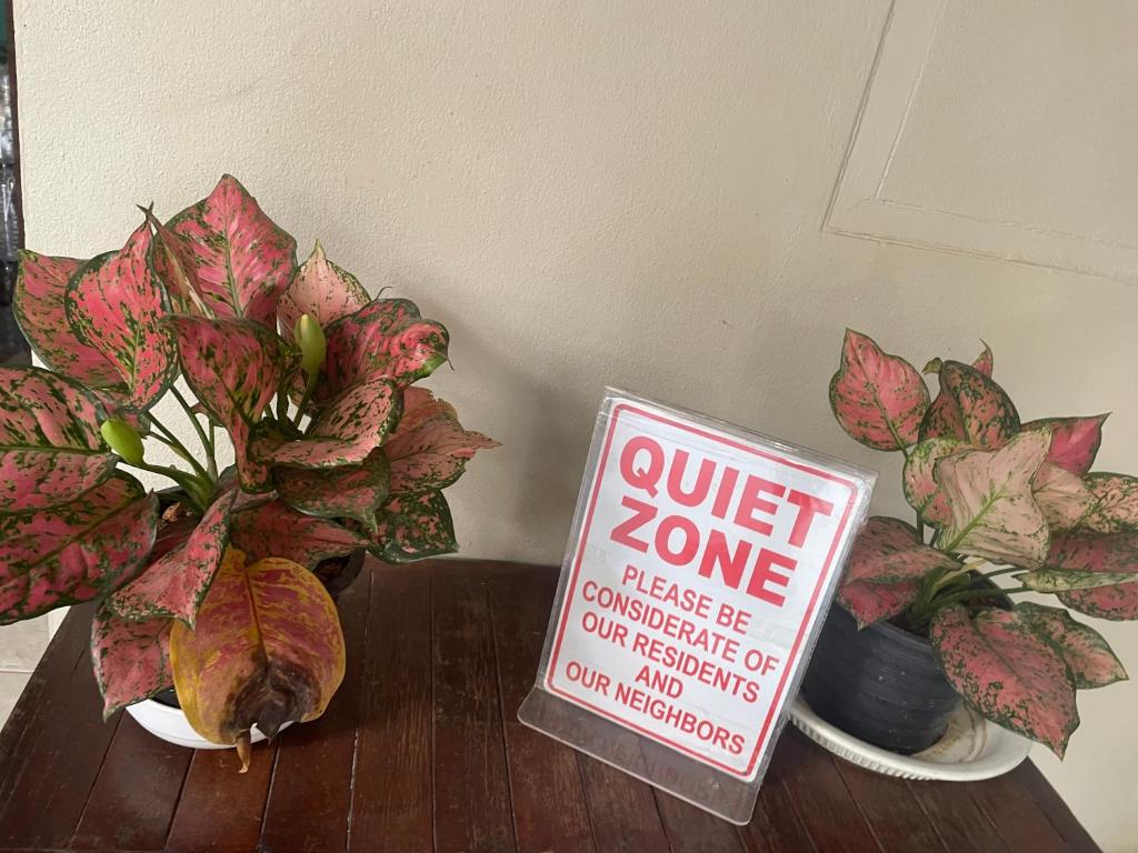 Thapae Gate Lodge - 14