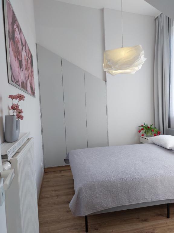 MR HOME APARTMENTS - Limba - Apartment