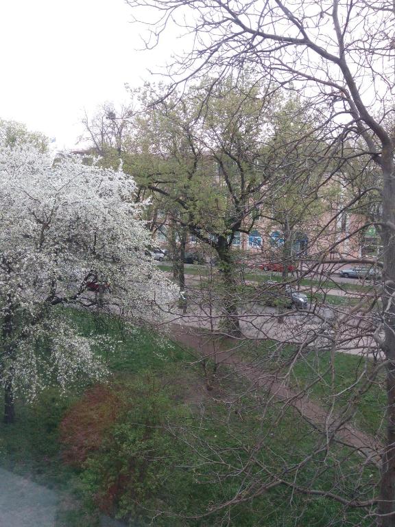 Квартира студія в центрі міста Філармонія фото 6