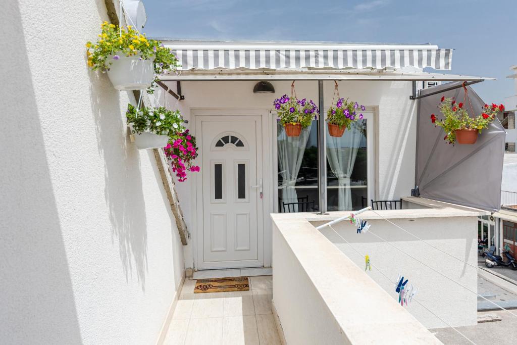 House Niko M with 6 apartments - 4