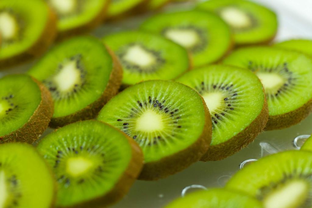 Hotel St Gregory Park - Resim 14