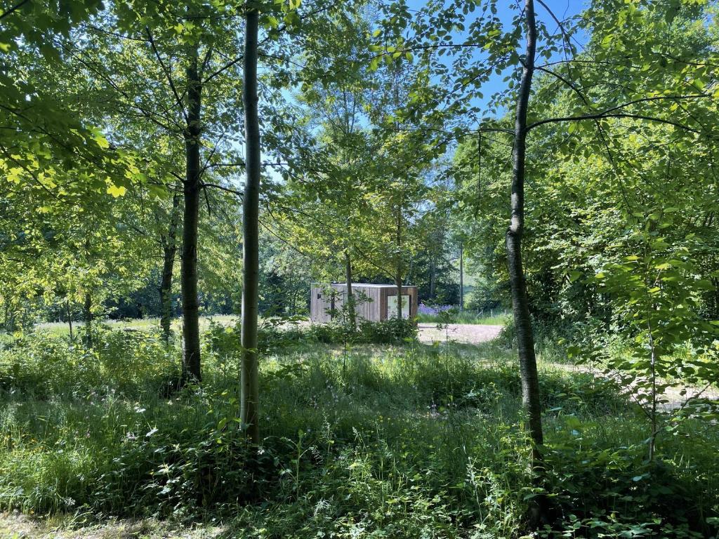 Zahrada ubytování Time-Out Cabin