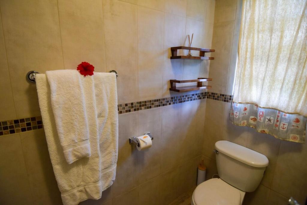 Koupelna v ubytování Piton View Apartment With Jeep Rental - GREAT COMBO DEAL- Explore St Lucia