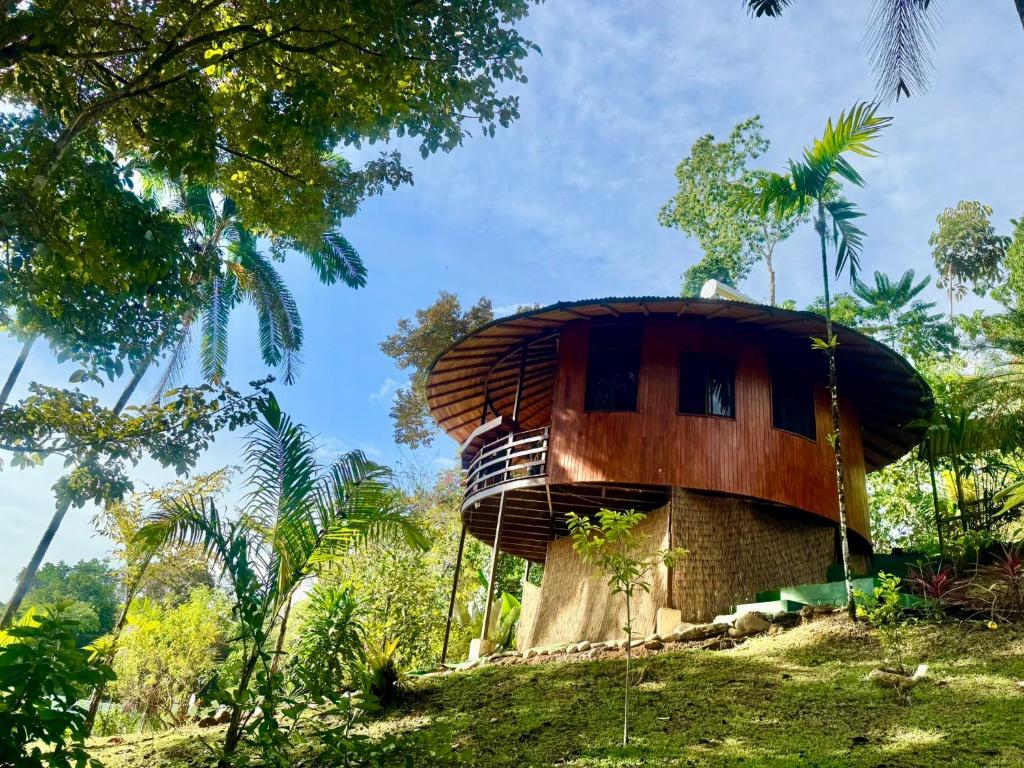 Zahrada ubytování Paradiselodge Jungleguesthouse