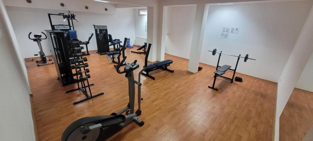 Posilňovňa alebo fitness centrum v ubytovaní Apartament Karolina - Zielone Tarasy