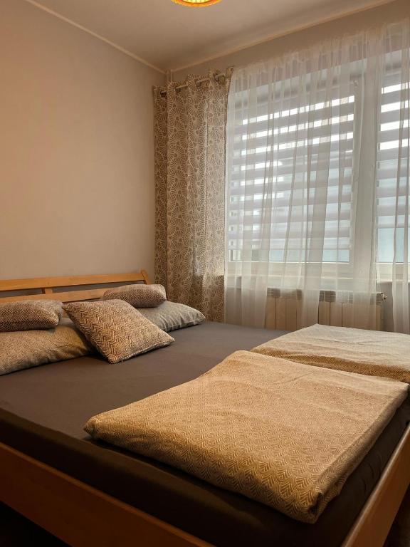 Noclegi u Eweliny - 17