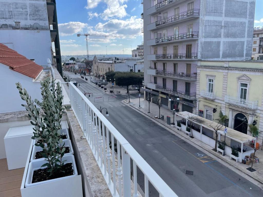 Okolí apartmánu