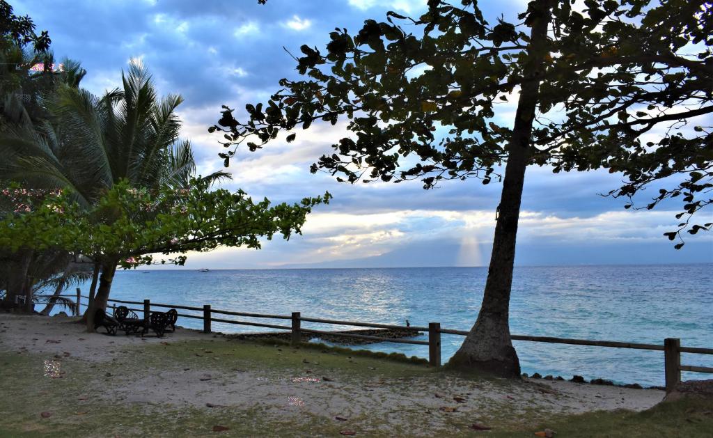 a fence and trees on a beach with the ocean at Dadatan Getaway in Magamomo